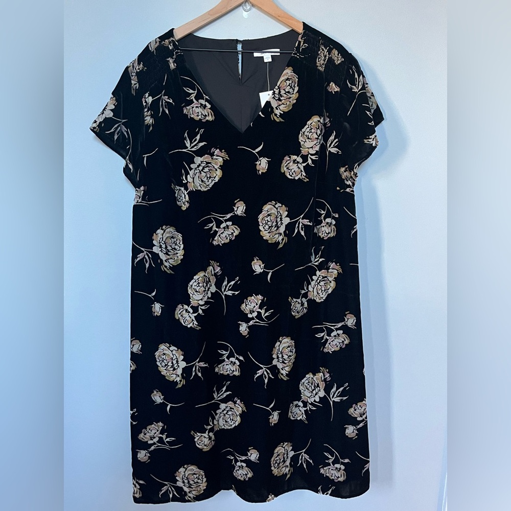 J.Jill Black Velvet Dress